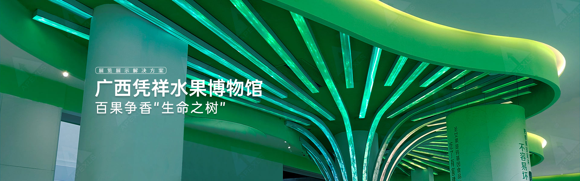 丘成桐國際會議中心P4戶內(nèi)生命樹屏